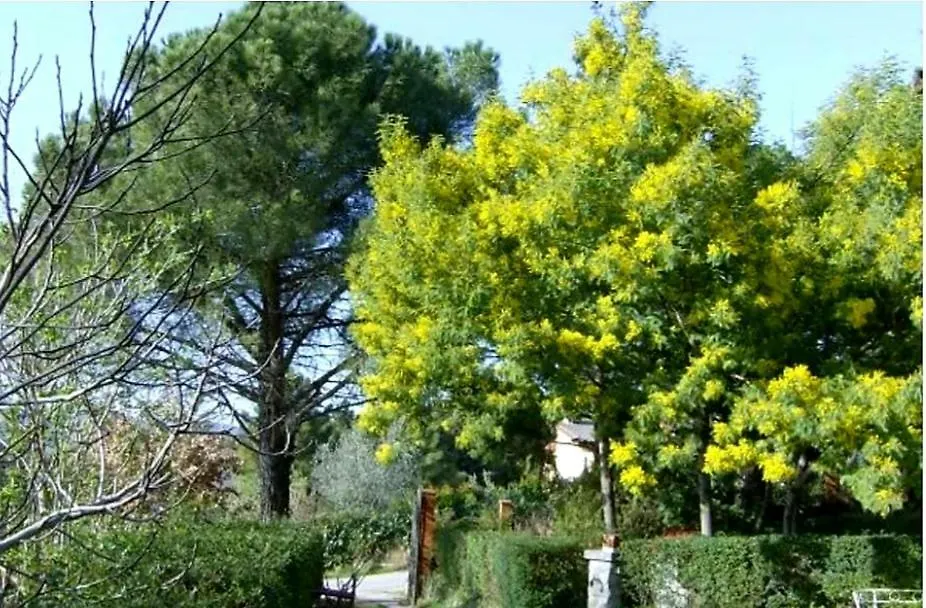 La Querciolina Villa Arezzo Italy