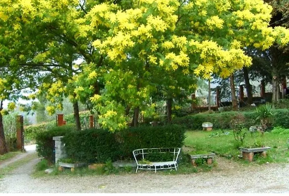 La Querciolina Villa Arezzo Holiday home